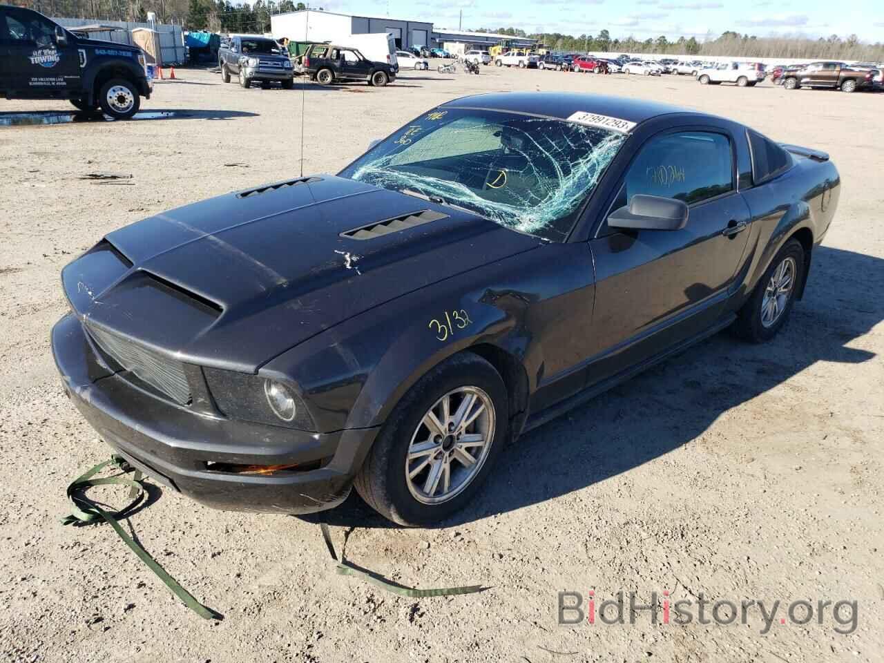 Photo 1ZVHT80N785131152 - FORD MUSTANG 2008