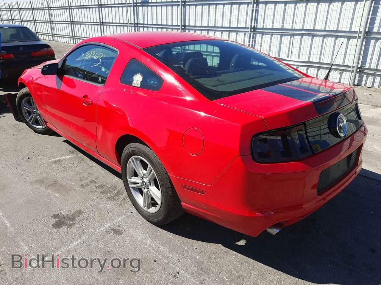 2014 FORD MUSTANG - VIN: 1ZVBP8AM5E5310043 - Фото 3