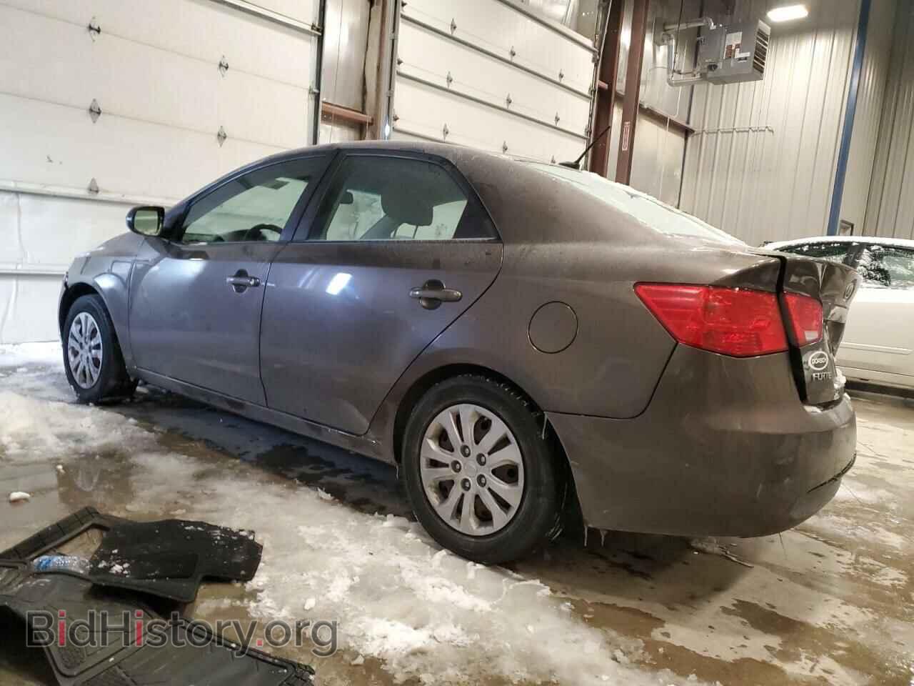2013 KIA FORTE - VIN: KNAFU4A21D5731189 - Фото 2