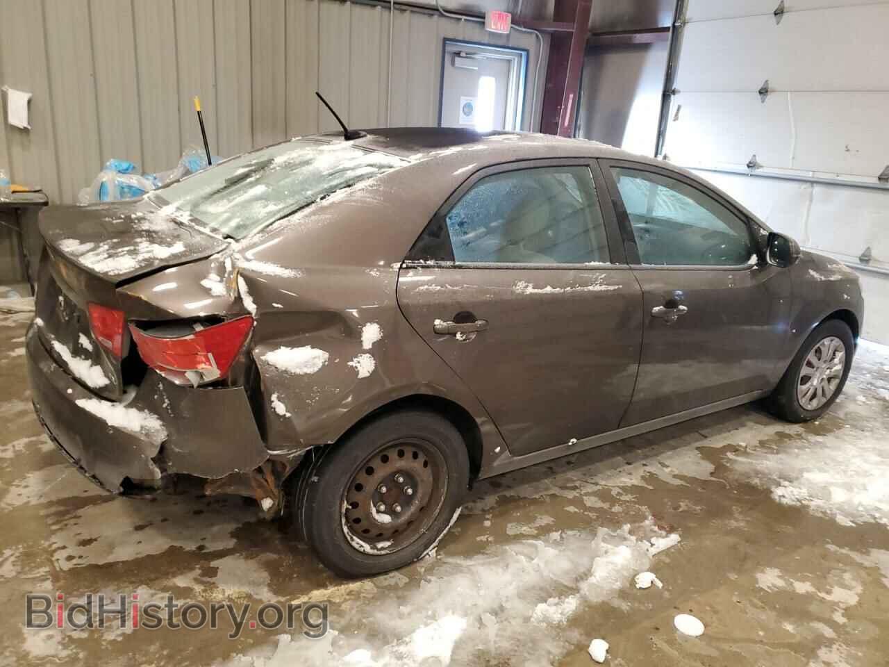 2013 KIA FORTE - VIN: KNAFU4A21D5731189 - Фото 3