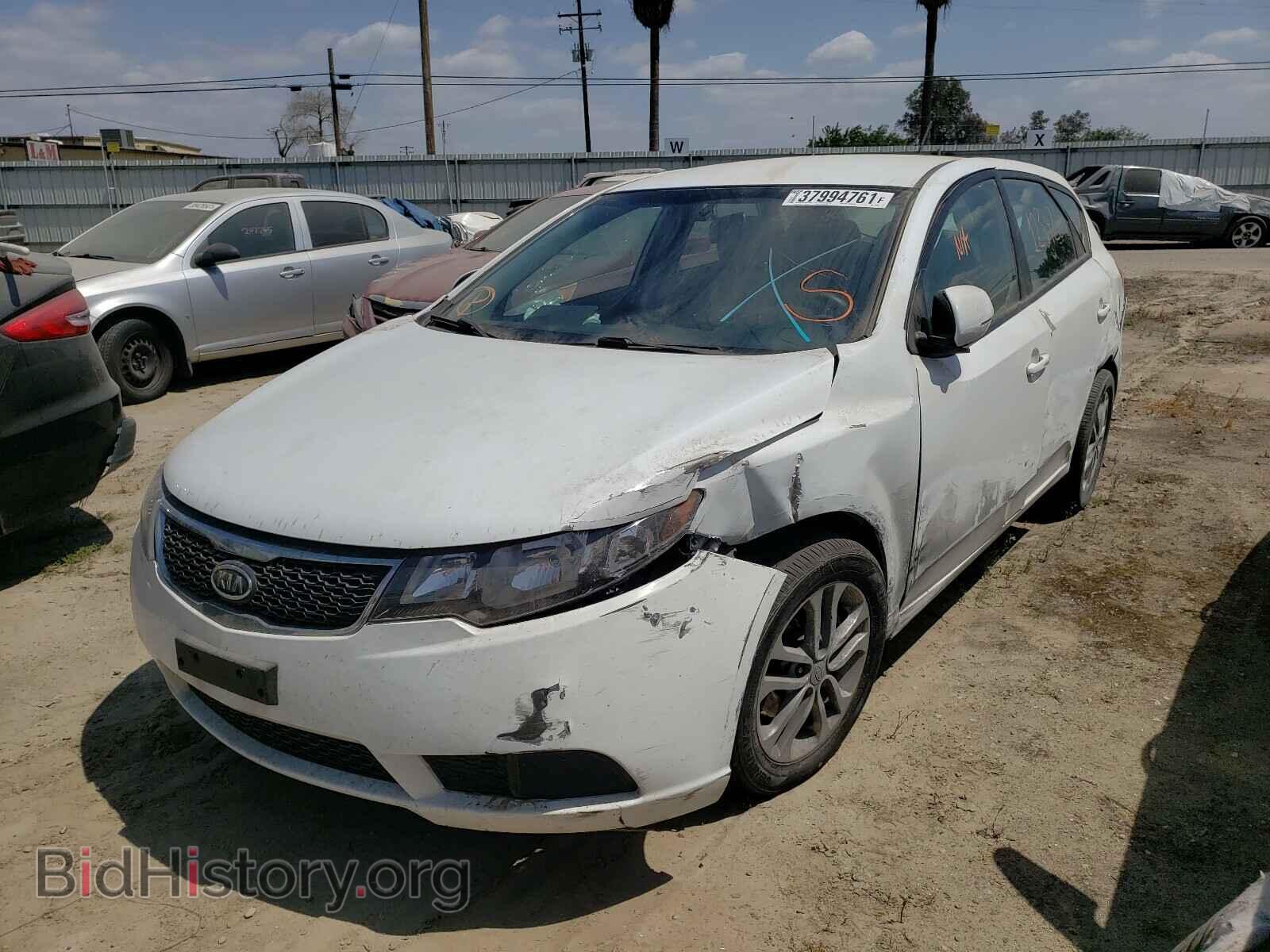 2011 KIA FORTE - VIN: KNAFU5A2XB5437373 - Фото 2