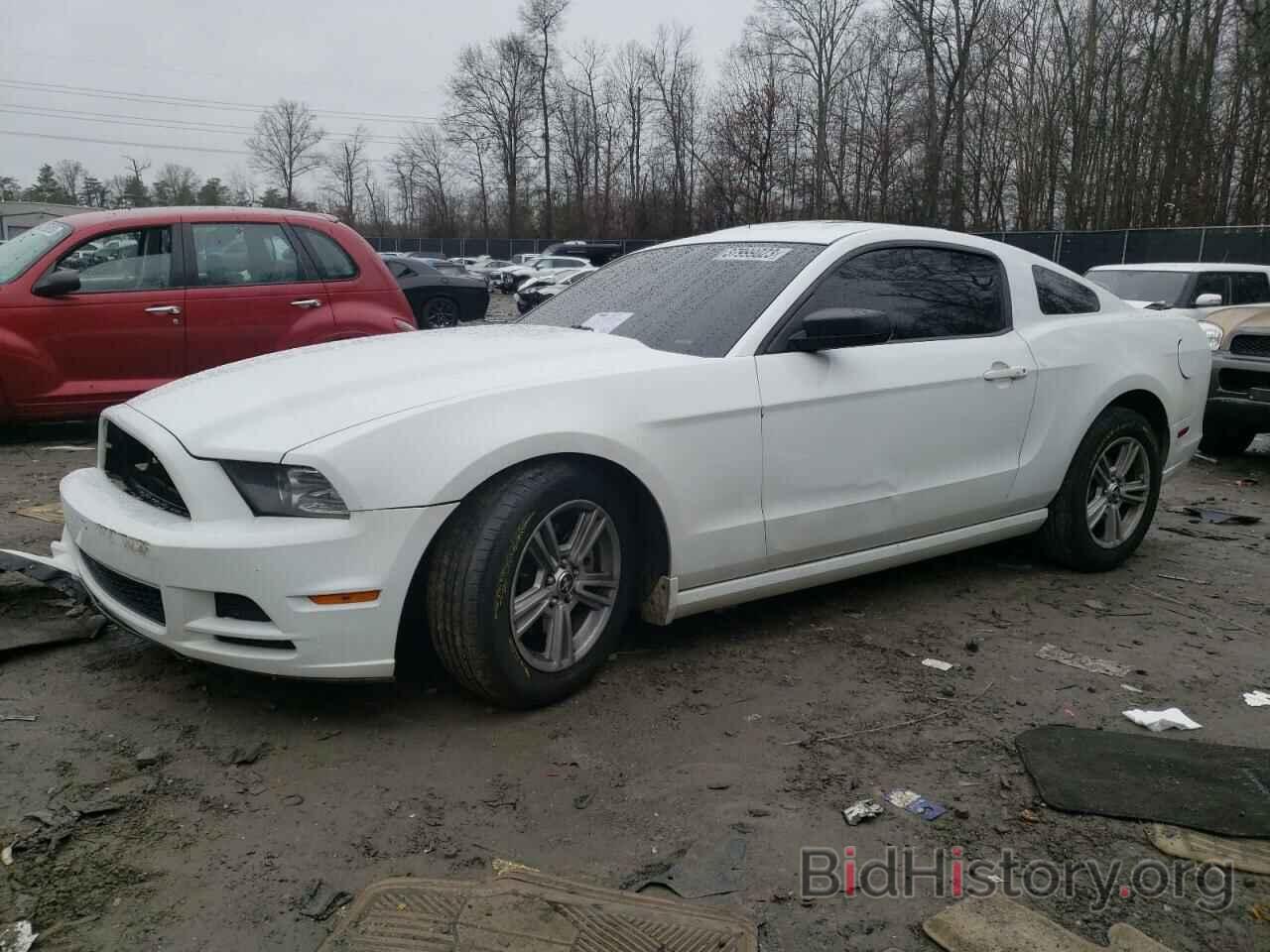Photo 1ZVBP8AM0E5251502 - FORD MUSTANG 2014