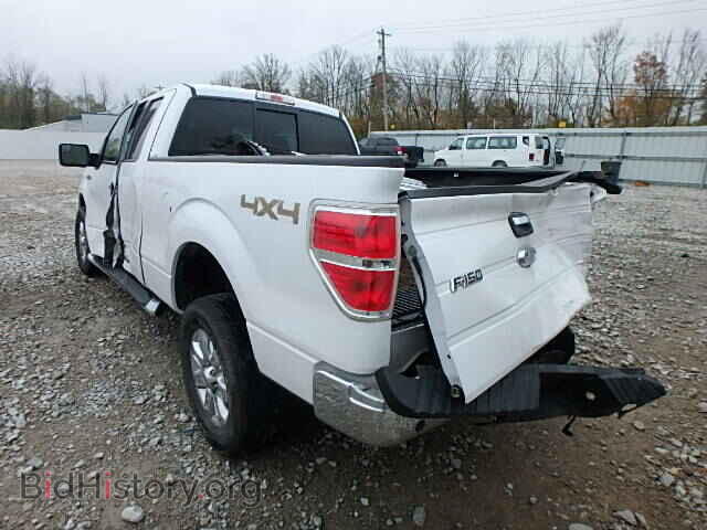 2013 FORD F150 - VIN: 1FTFX1EF3DFC78385 - Фото 3