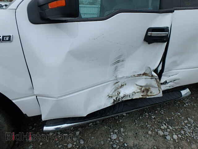 2013 FORD F150 - VIN: 1FTFX1EF3DFC78385 - Фото 10