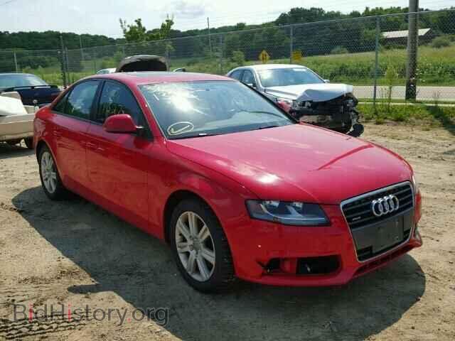 Фотография WAULF78K59N056443 - AUDI A4 2009