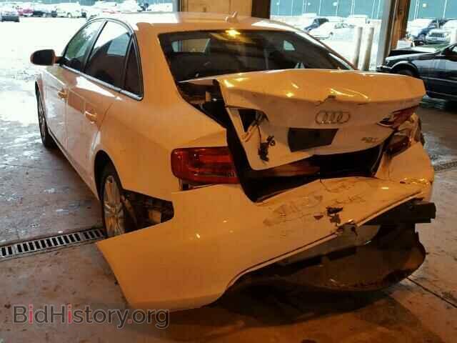 2010 AUDI A4 - VIN: WAUBFAFL5AN031308 - Фото 3