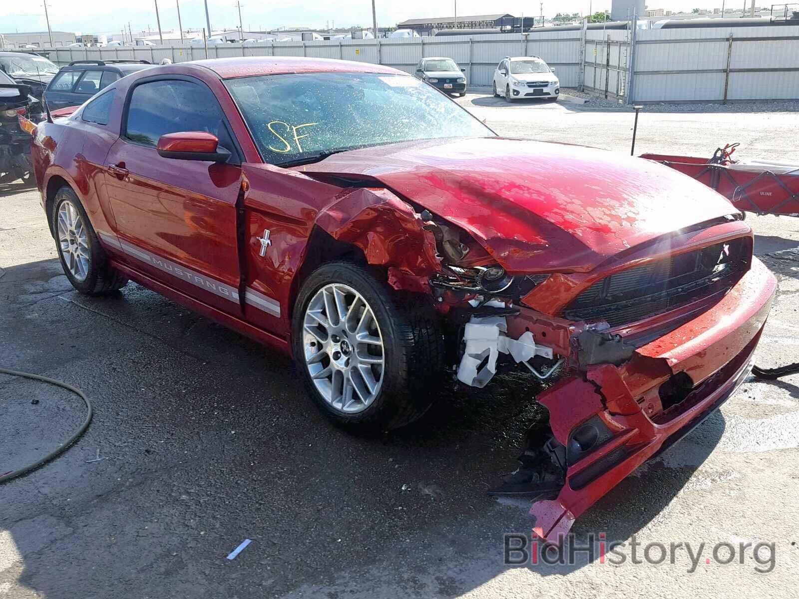 Photo 1ZVBP8AM5E5288528 - FORD MUSTANG 2014