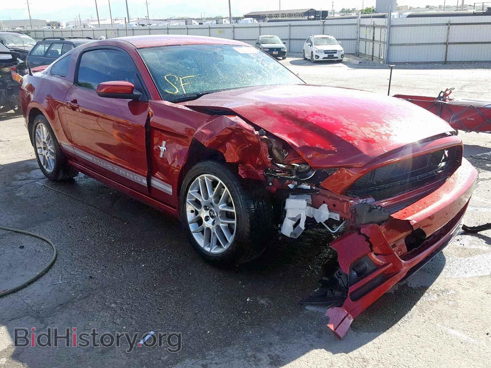 Photo 1ZVBP8AM5E5288528 - FORD MUSTANG 2014