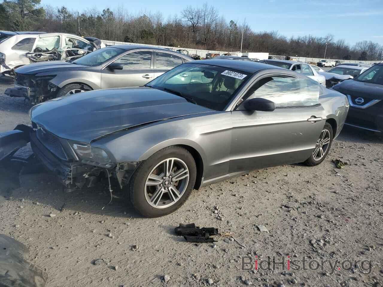 Photo 1ZVBP8AN7A5153635 - FORD MUSTANG 2010
