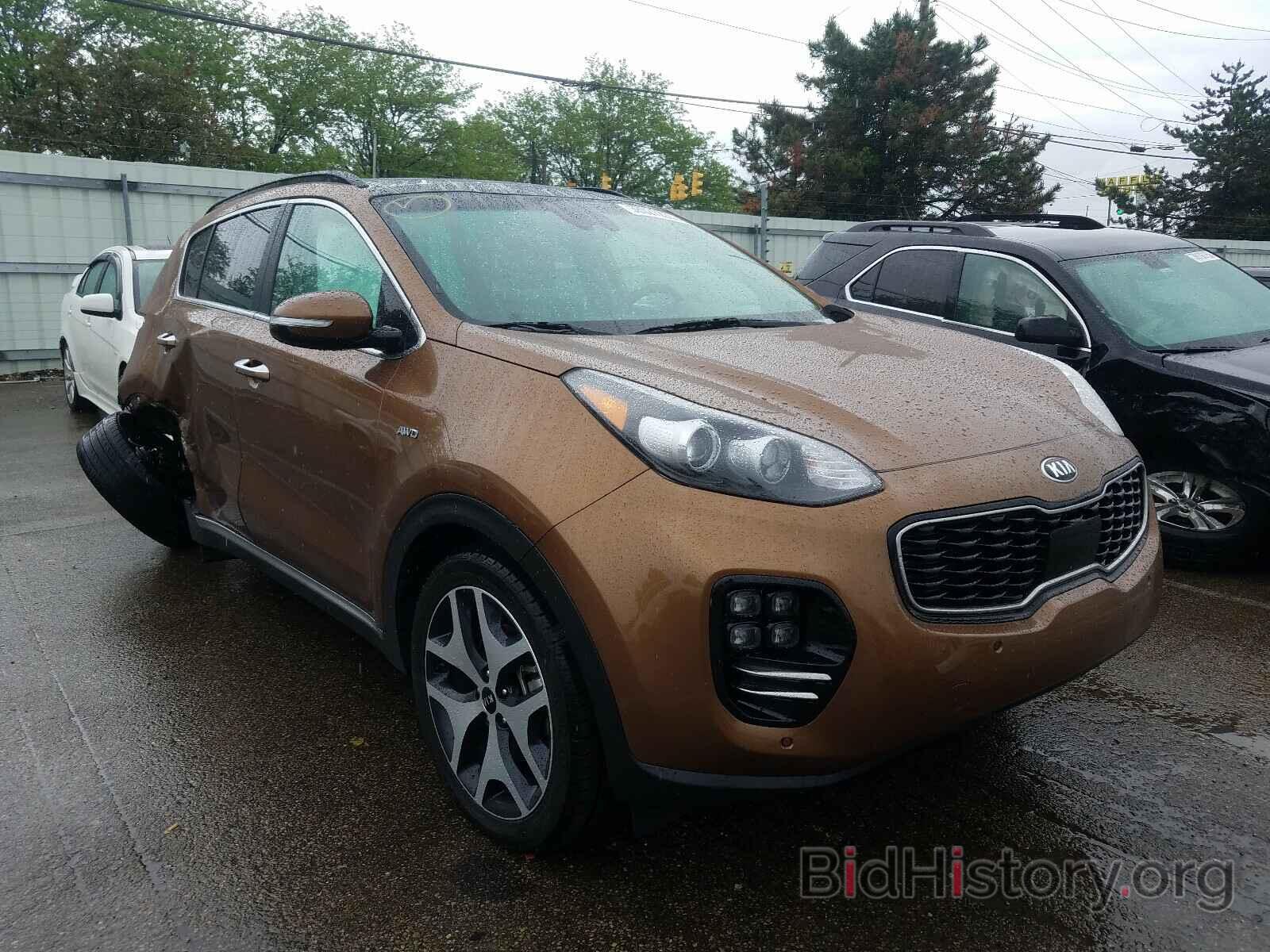 Фотография KNDPRCA66K7505270 - KIA SPORTAGE 2019