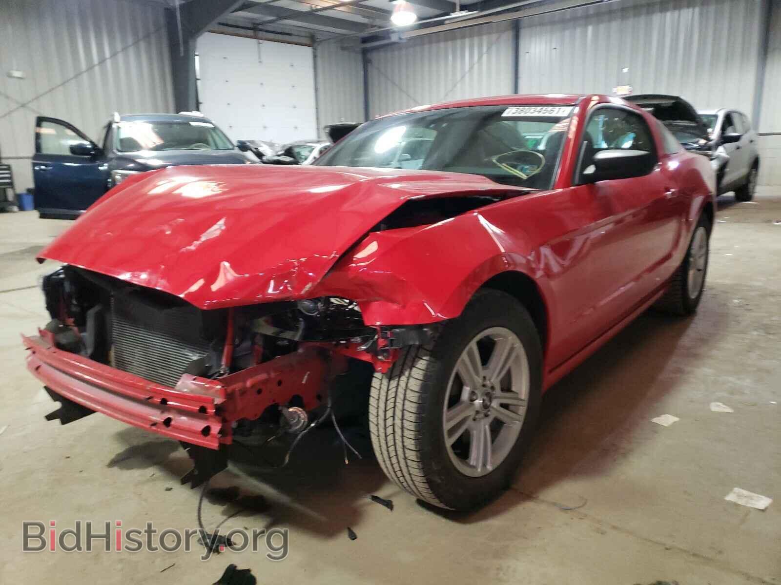 2013 FORD MUSTANG - VIN: 1ZVBP8AM2D5243691 - Фото 2