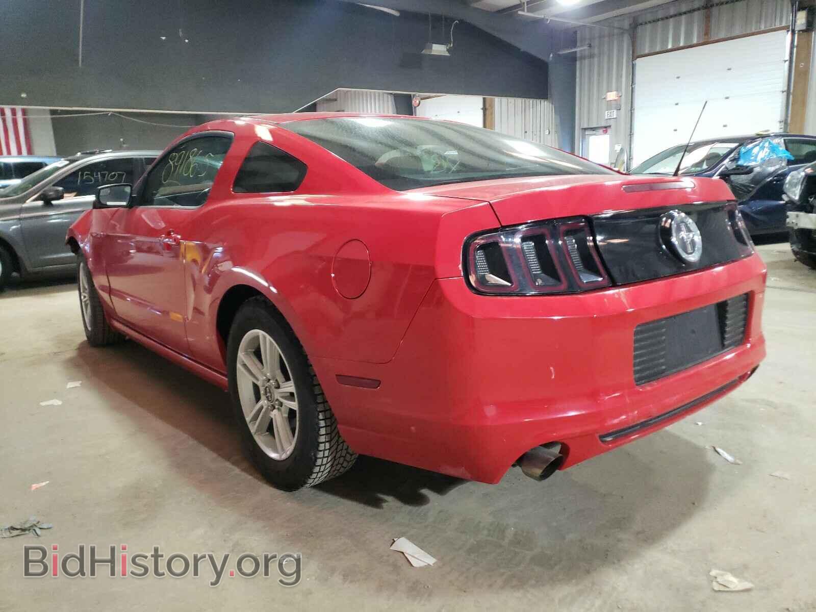 2013 FORD MUSTANG - VIN: 1ZVBP8AM2D5243691 - Фото 3