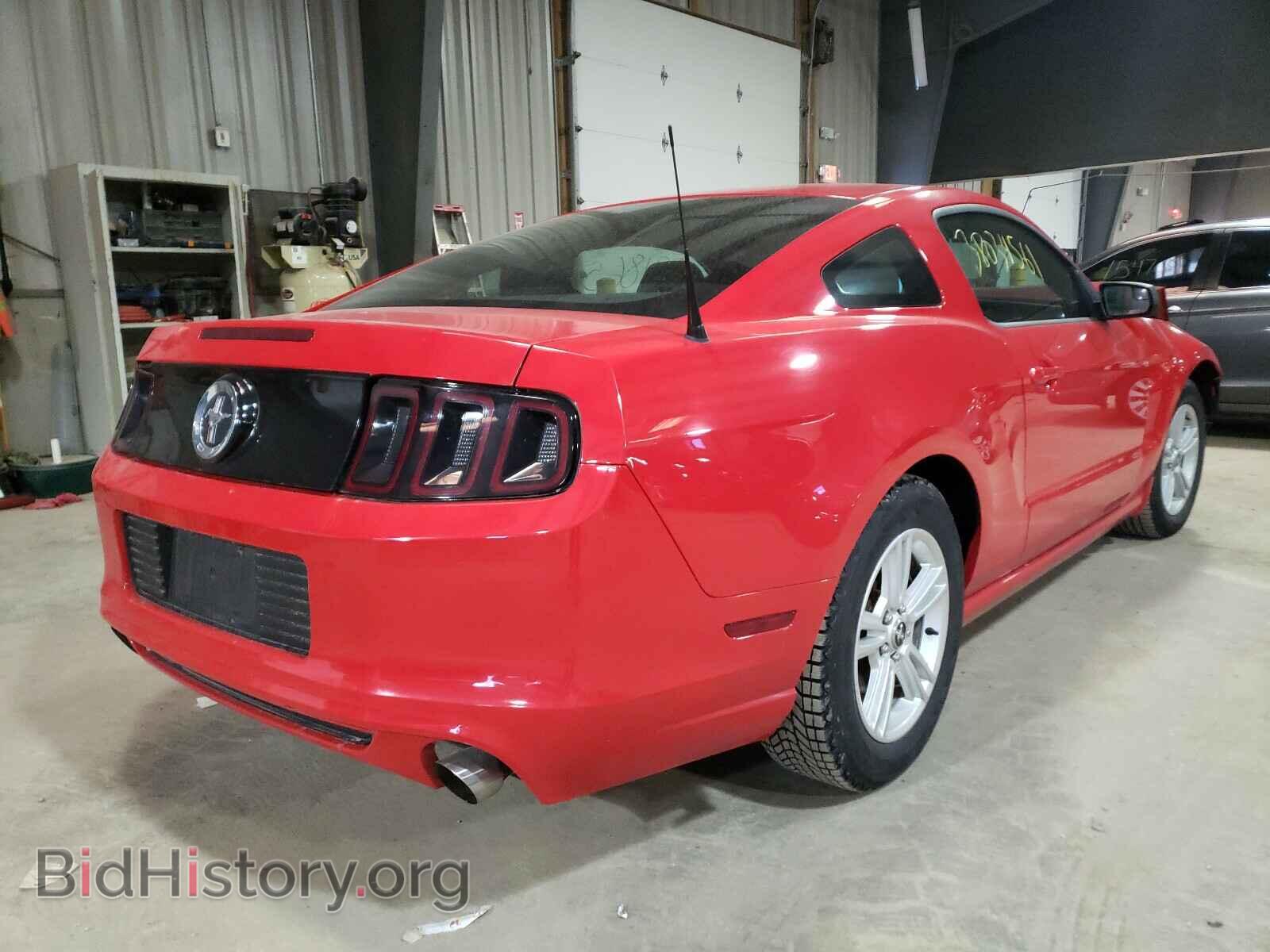 2013 FORD MUSTANG - VIN: 1ZVBP8AM2D5243691 - Фото 4