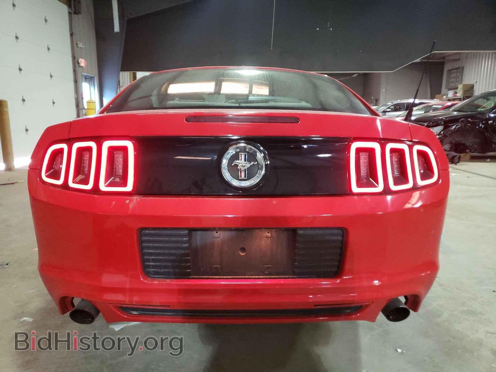 2013 FORD MUSTANG - VIN: 1ZVBP8AM2D5243691 - Фото 9