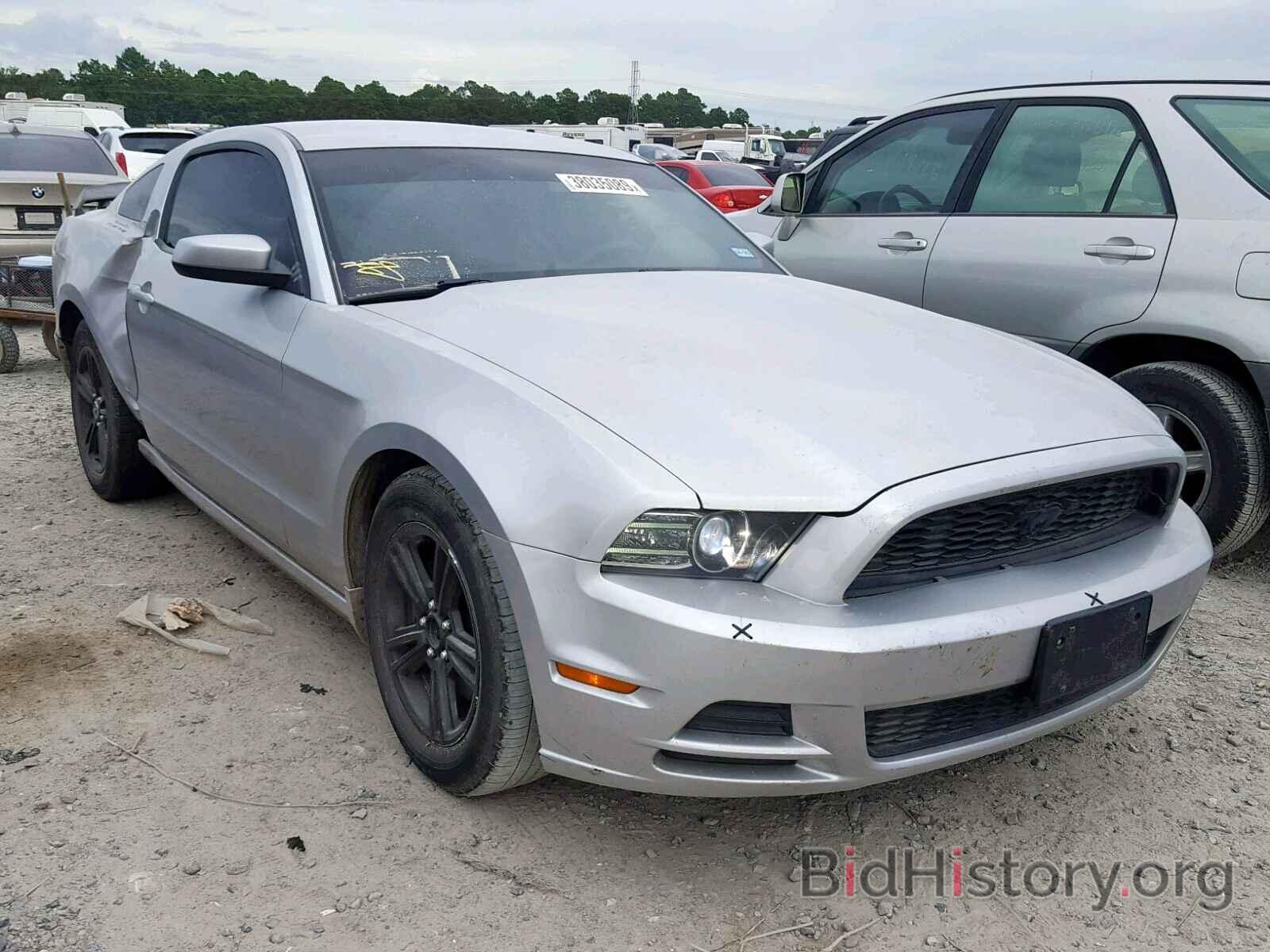 Photo 1ZVBP8AM2D5225191 - FORD MUSTANG 2013