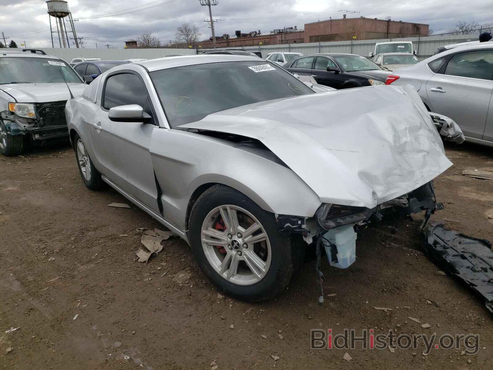 Photo 1ZVBP8AM3E5277270 - FORD MUSTANG 2014