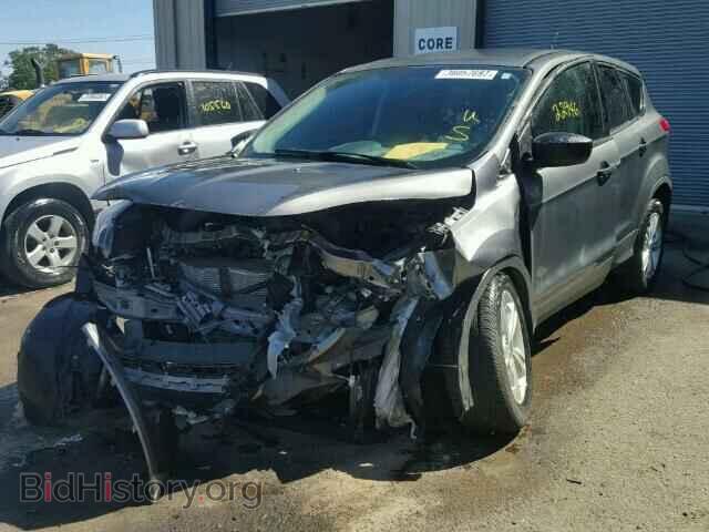 2014 FORD ESCAPE - VIN: 1FMCU0F75EUE57601 - Фото 2