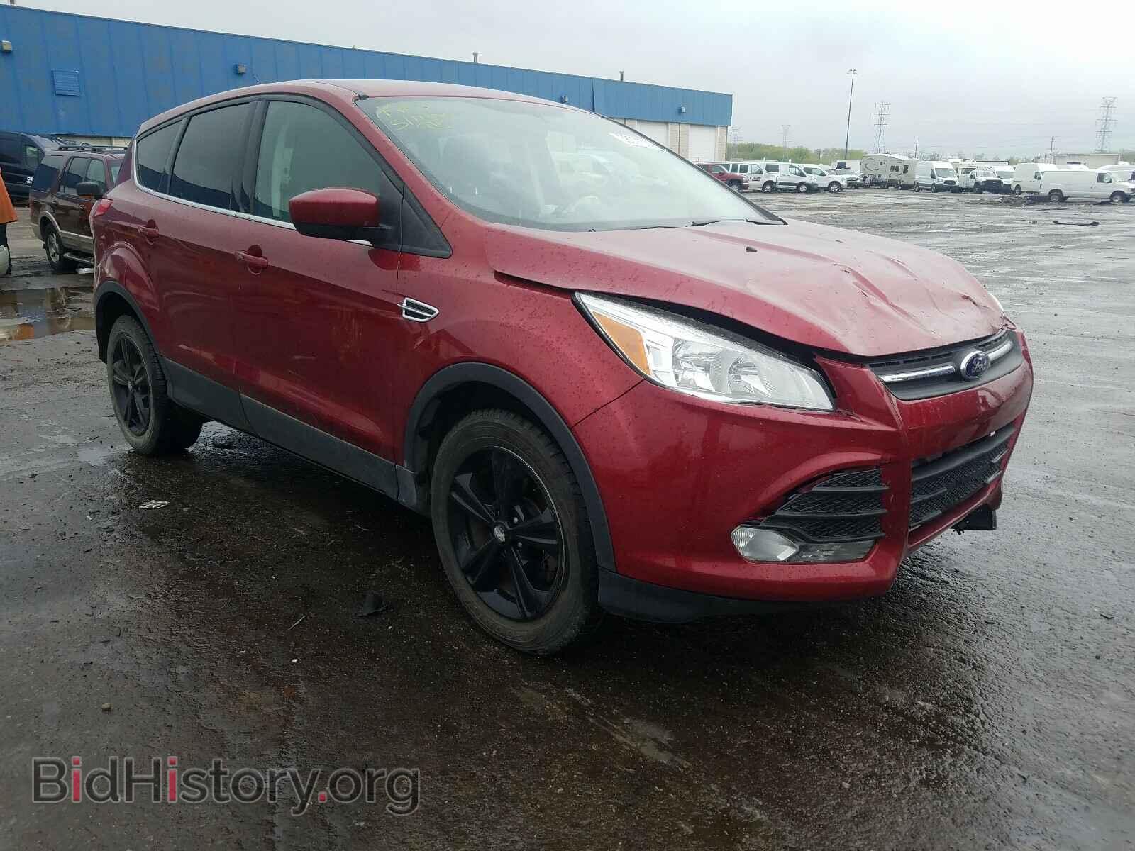 Photo 1FMCU0GX5DUA36023 - FORD ESCAPE 2013