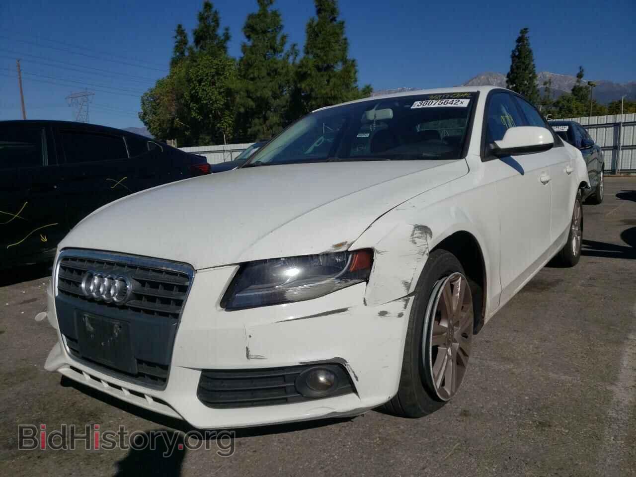 2012 AUDI A4 - VIN: WAUBFAFL7CN005571 - Фото 2