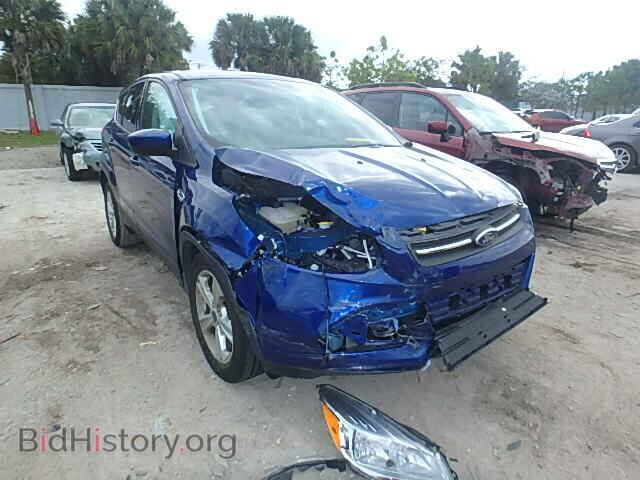 Фотография 1FMCU0GX0EUD85012 - FORD ESCAPE 2014