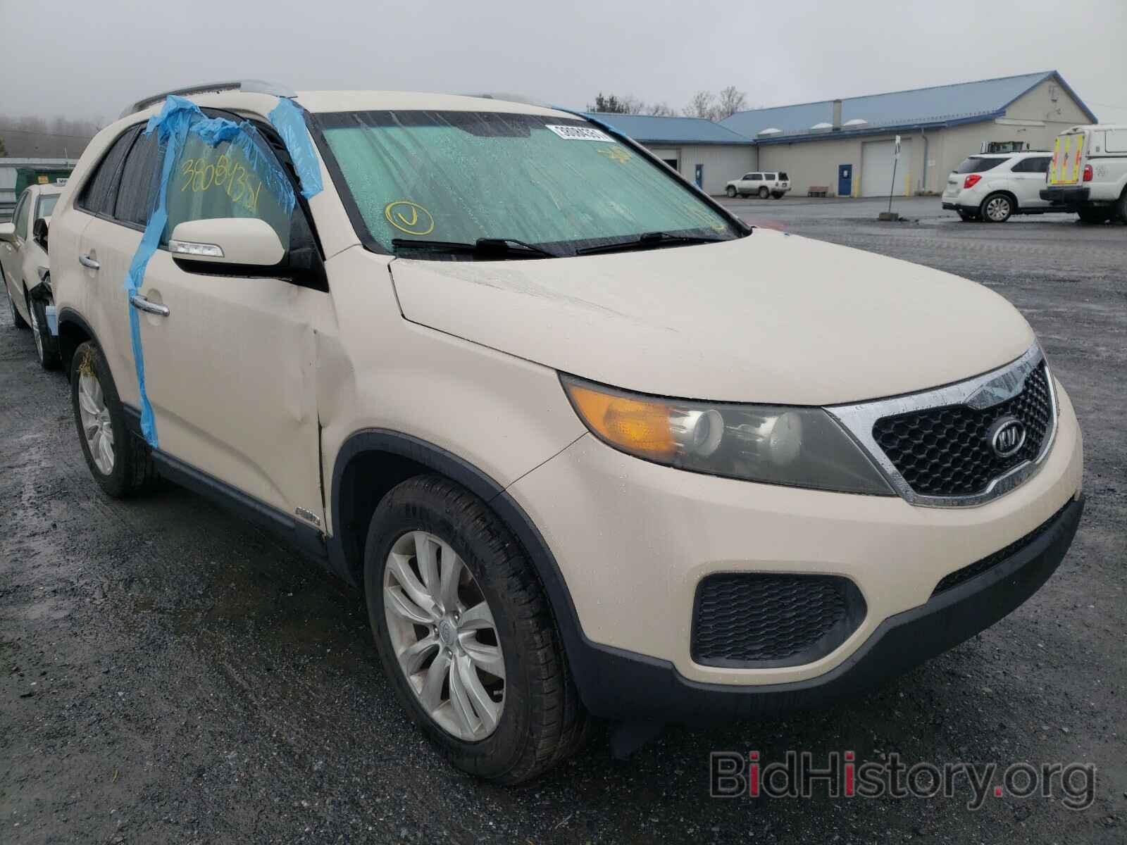 Photo 5XYKTDA28BG086954 - KIA SORENTO 2011