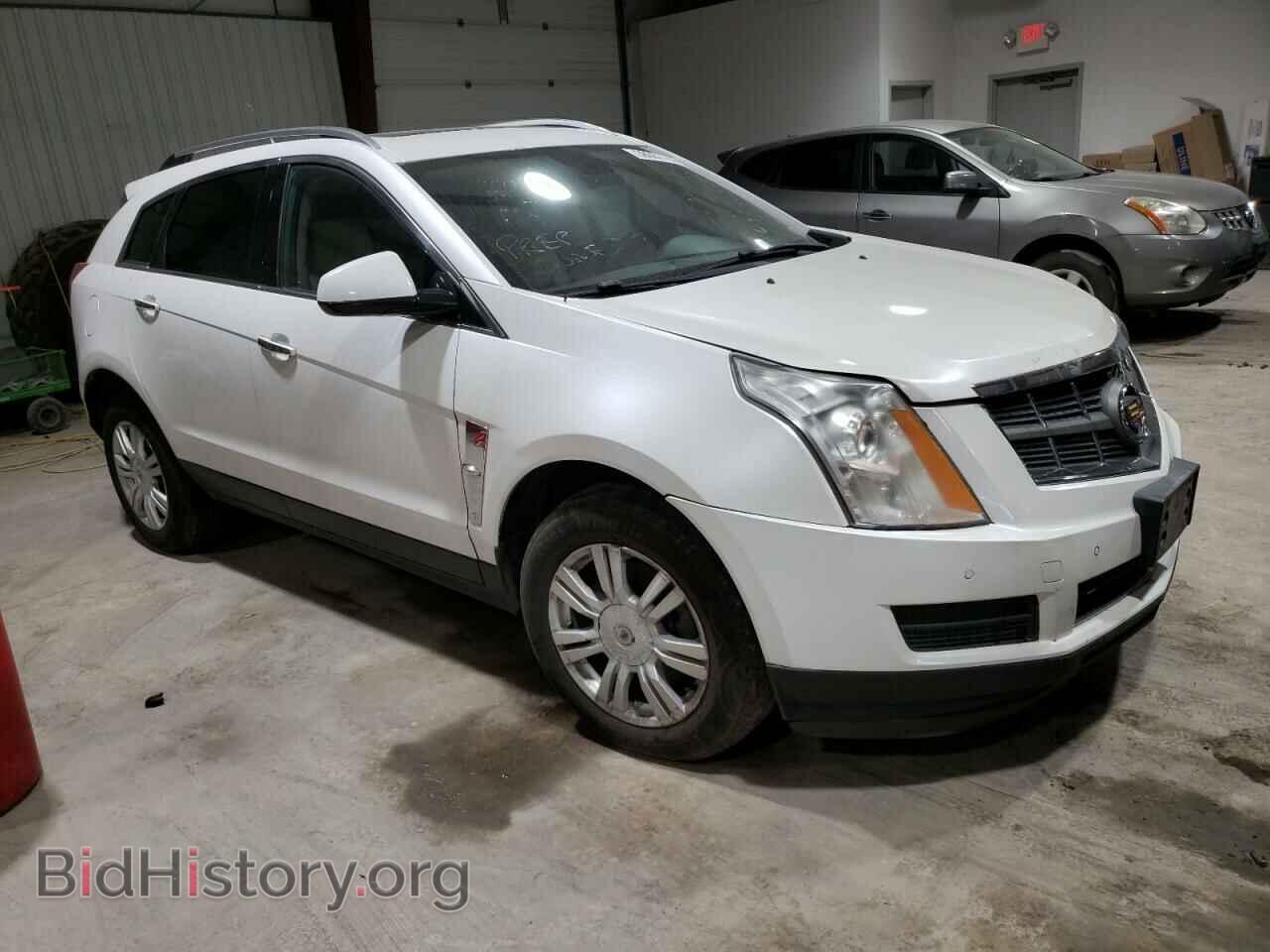 2010 CADILLAC SRX - VIN: 3GYFNDEY7AS626361 - Фото 4