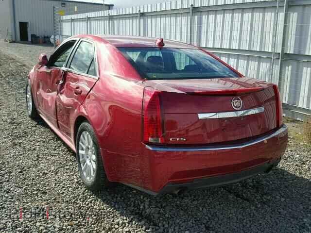 2010 CADILLAC CTS - VIN: 1G6DA5EG7A0122733 - Фото 3