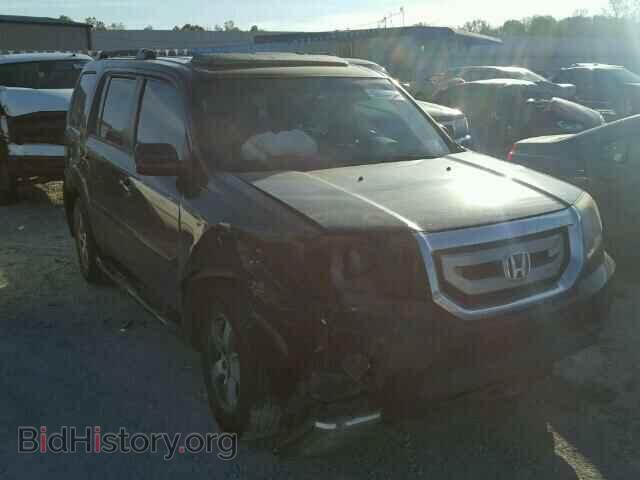 Фотография 5FNYF3H54BB047152 - HONDA PILOT 2011