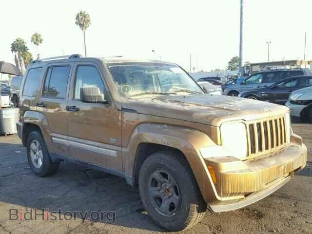 Фотография 1J4PP2GK4BW559042 - JEEP LIBERTY 2011
