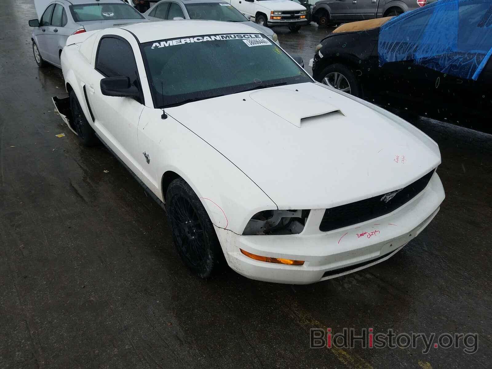Photo 1ZVHT80N195123971 - FORD MUSTANG 2009