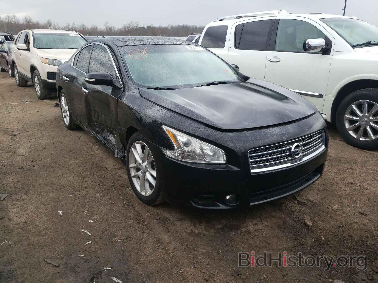 Photo 1N4AA5AP1BC851984 - NISSAN MAXIMA 2011