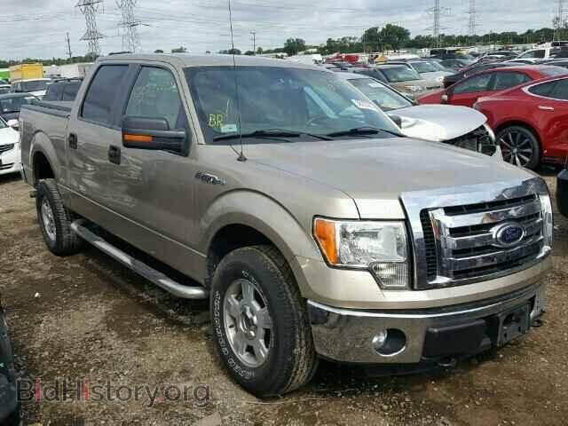 Photo 1FTFW1EF4CFB52005 - FORD F150 2012