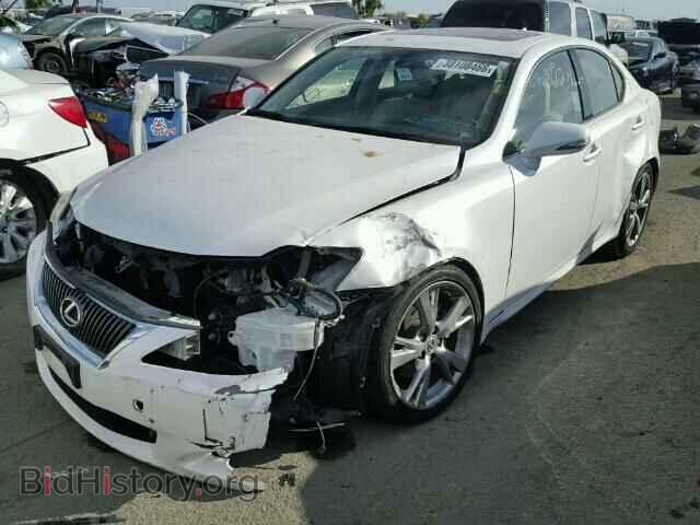 2010 LEXUS IS250 - VIN: JTHBF5C21A5124279 - Фото 2