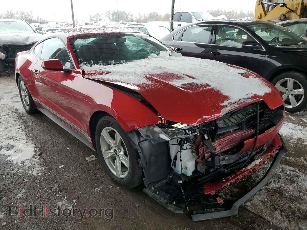 2020 FORD MUSTANG - VIN: 1FA6P8TH2L5150100 - Фото 4