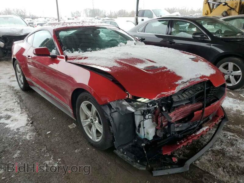 2020 Ford MUSTANG (VIN 1FA6P8TH2L5150100) — photo 4 of 12