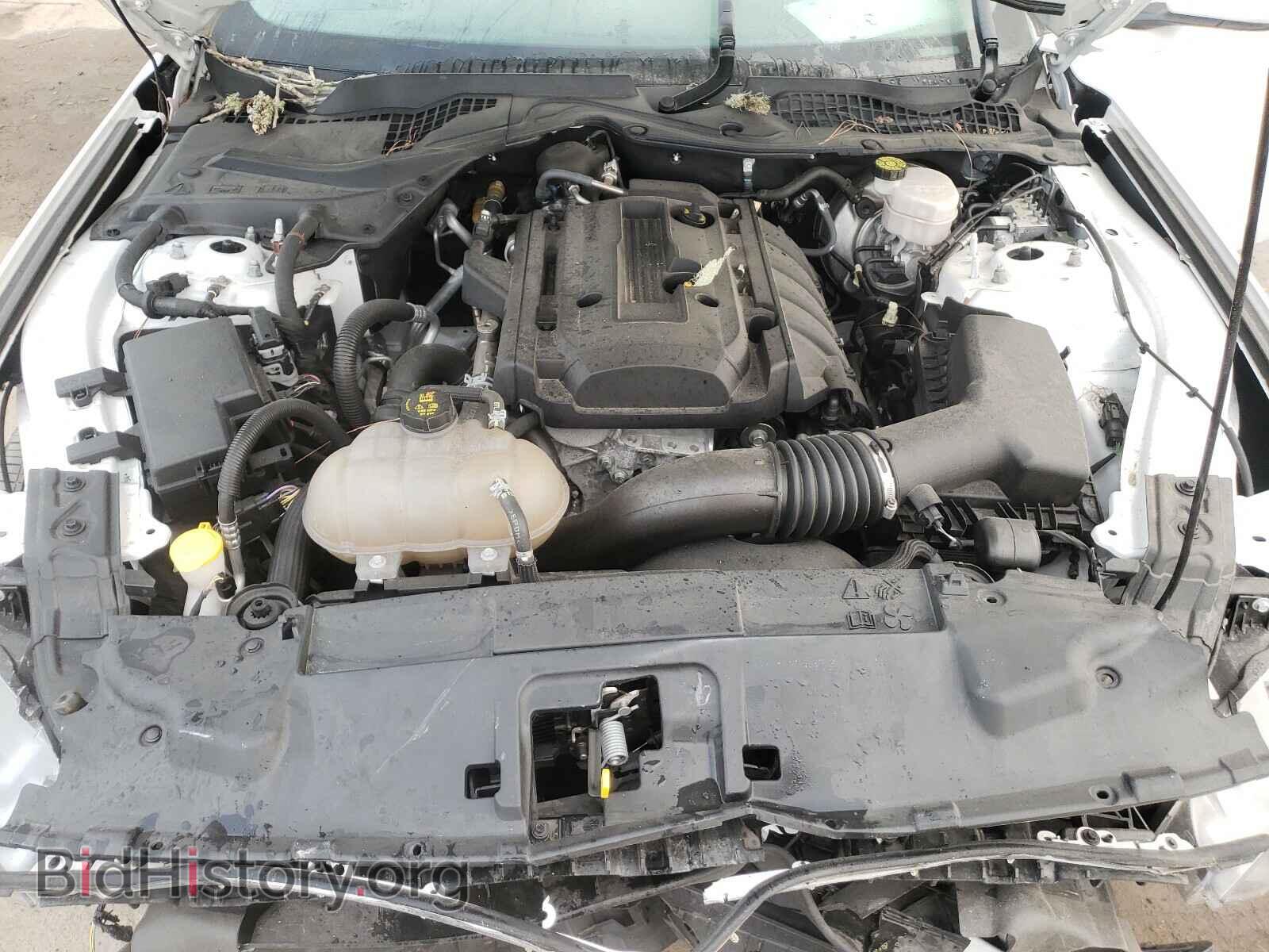 2019 FORD MUSTANG - VIN: 1FA6P8TH0K5167248 - Фото 7