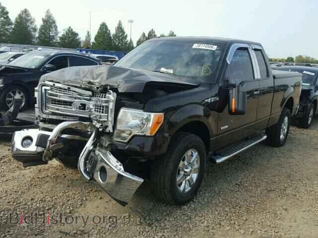 2013 FORD F150 - VIN: 1FTFX1ET8DFD82019 - Фото 2