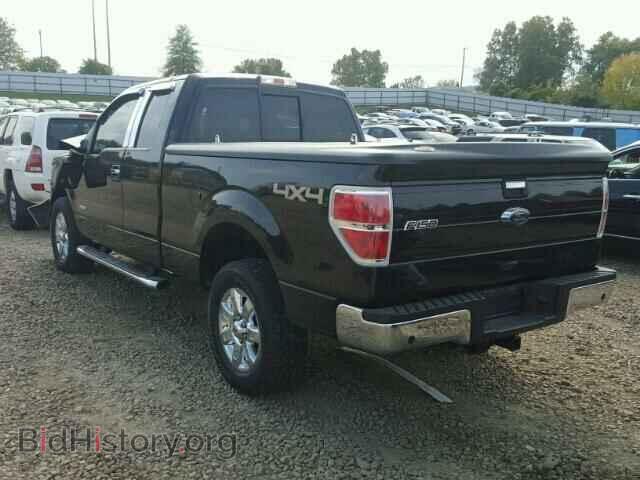 2013 FORD F150 - VIN: 1FTFX1ET8DFD82019 - Фото 3