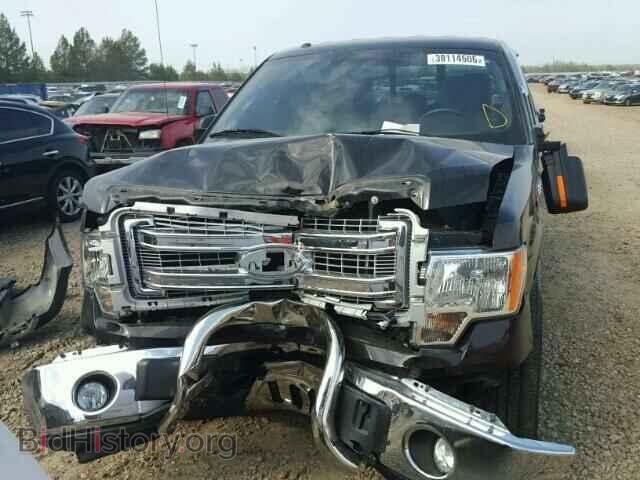 2013 FORD F150 - VIN: 1FTFX1ET8DFD82019 - Фото 9