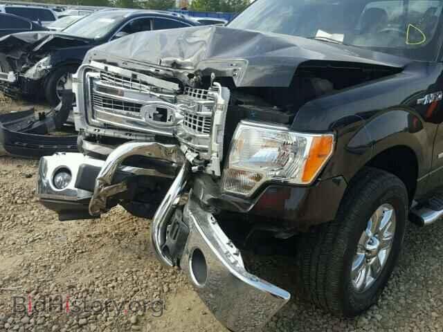 2013 FORD F150 - VIN: 1FTFX1ET8DFD82019 - Фото 10