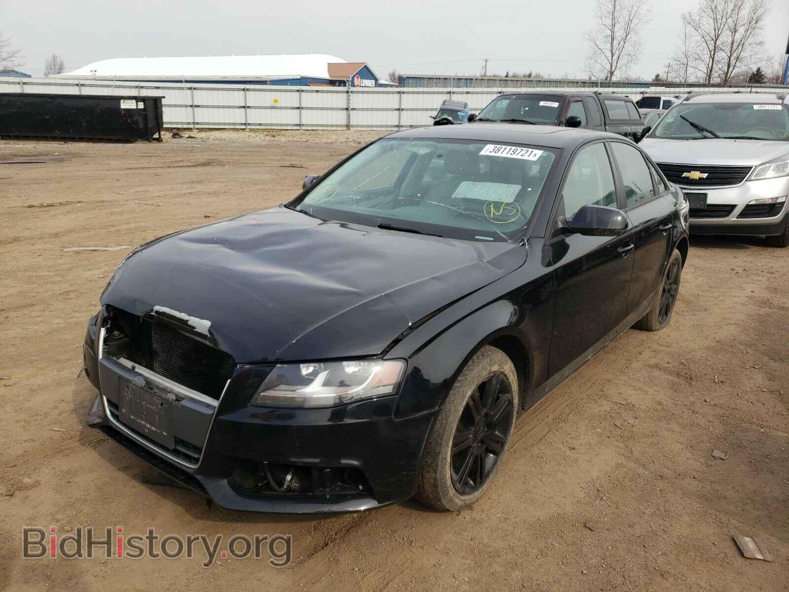 2011 AUDI A4 - VIN: WAUBFAFL9BN031202 - Фото 2