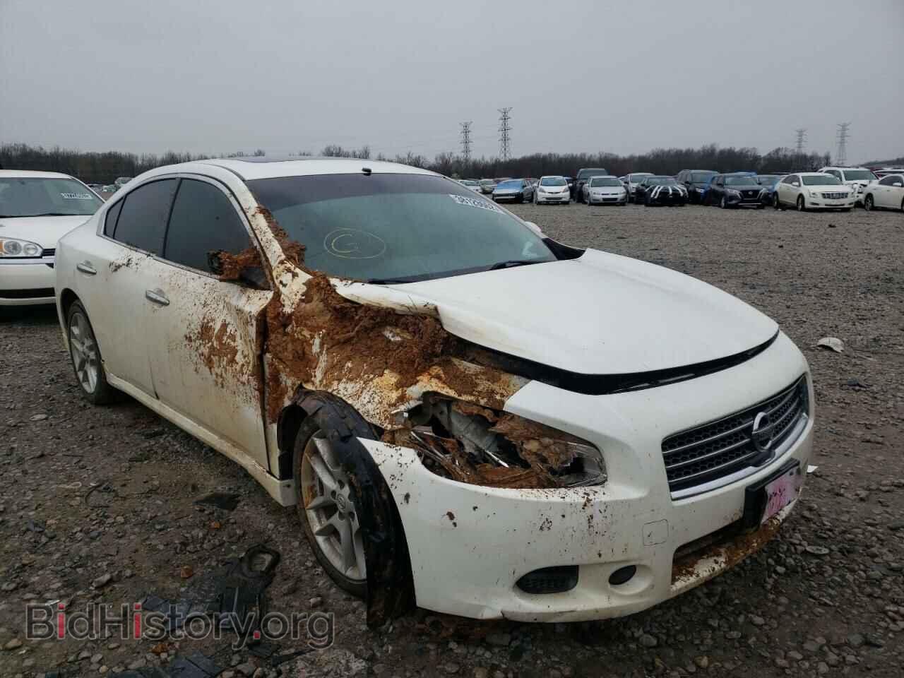 Photo 1N4AA5AP5AC868849 - NISSAN MAXIMA 2010