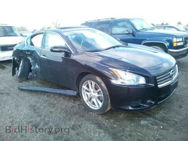 Фотография 1N4AA5AP7BC841931 - NISSAN MAXIMA 2011