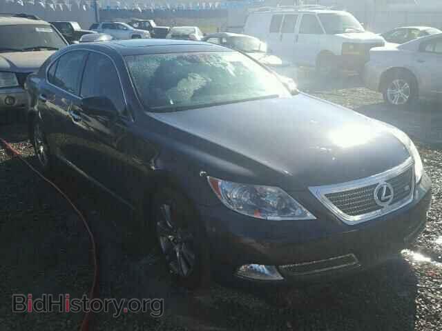 Фотография JTHBL46F685054144 - LEXUS LS460 2008