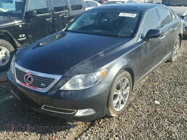 2008 LEXUS LS460 - VIN: JTHBL46F685054144 - Фото 2