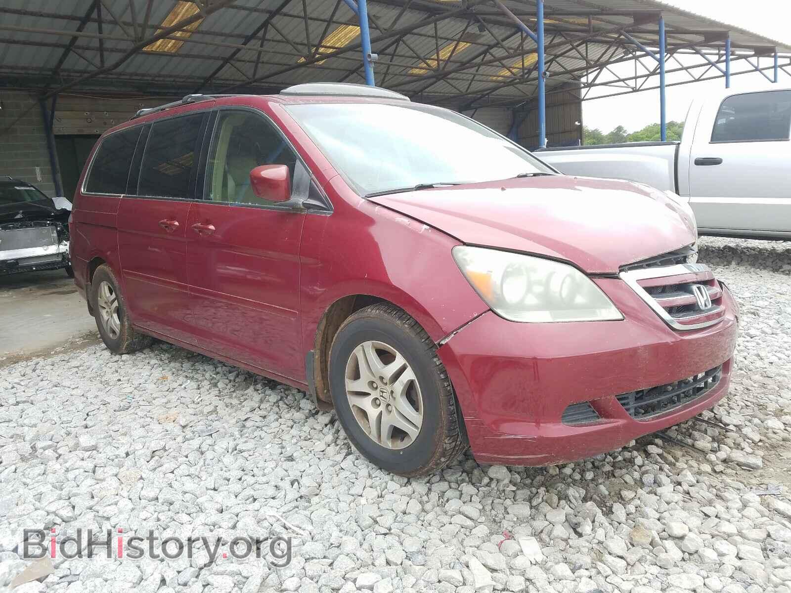 Photo 5FNRL38615B070205 - HONDA ODYSSEY 2005