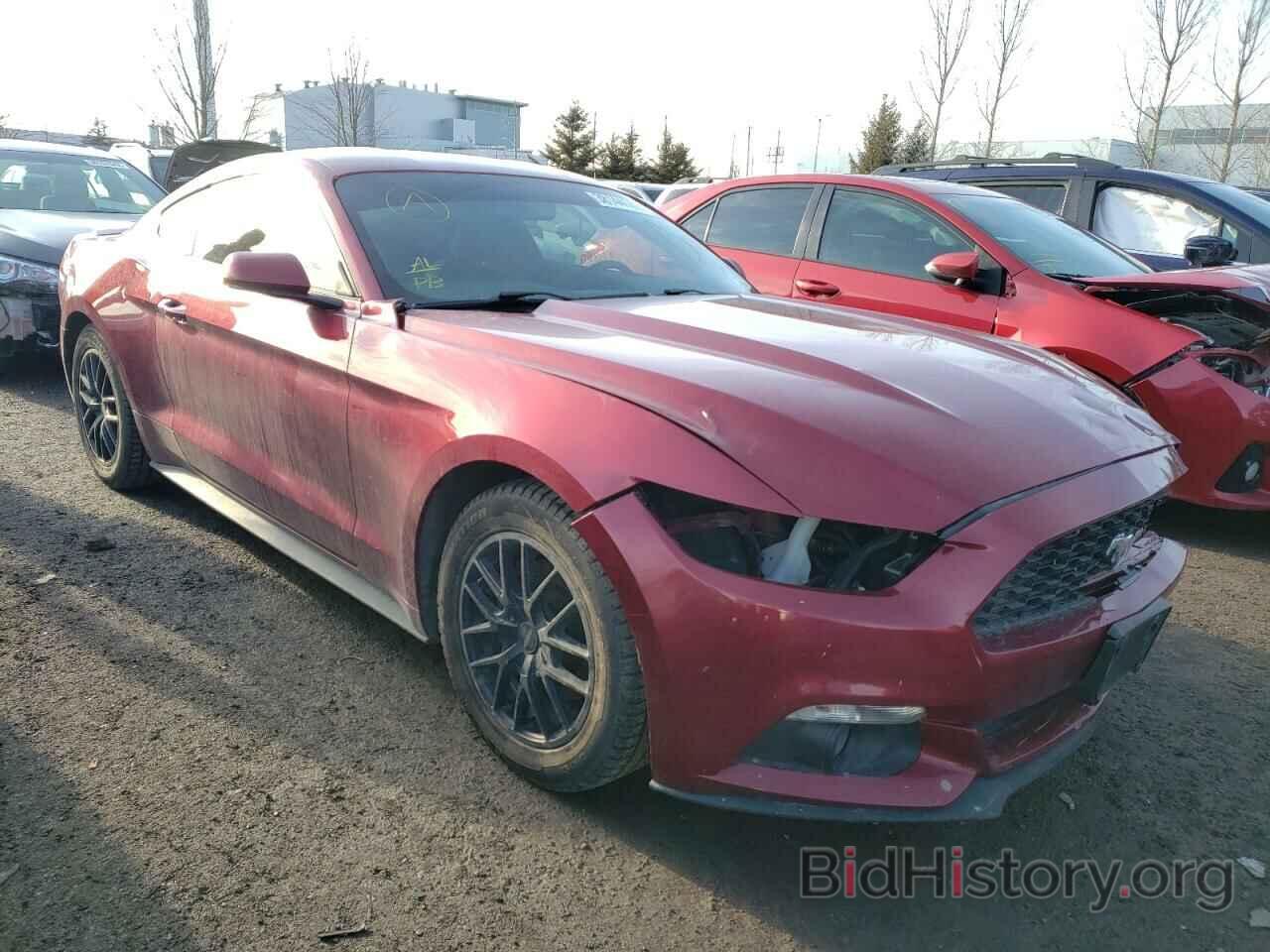 Photo 1FA6P8AM5H5298958 - FORD MUSTANG 2017