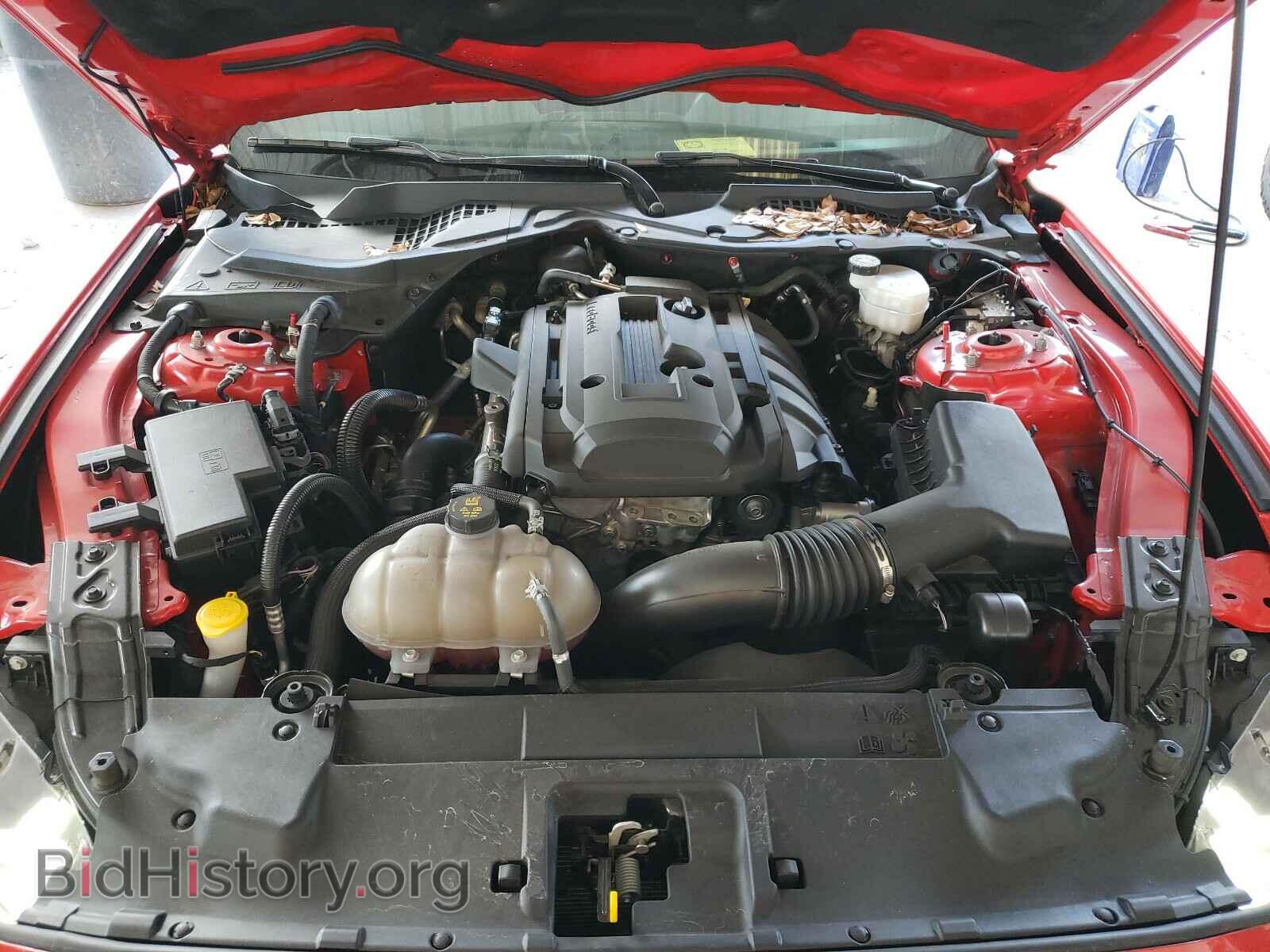 2019 FORD MUSTANG - VIN: 1FA6P8TH5K5184806 - Photo 7