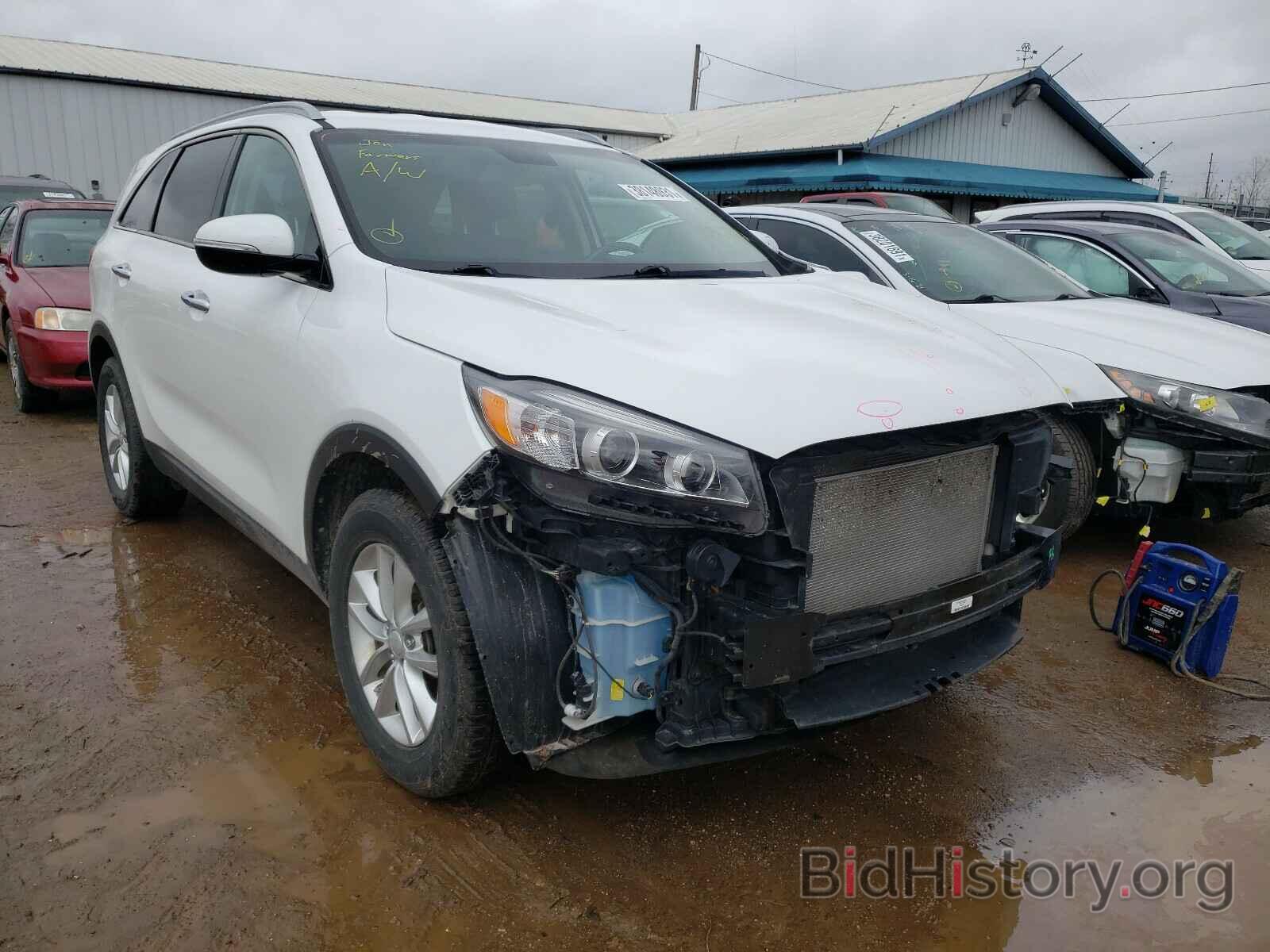 Photo 5XYPG4A35GG056322 - KIA SORENTO 2016