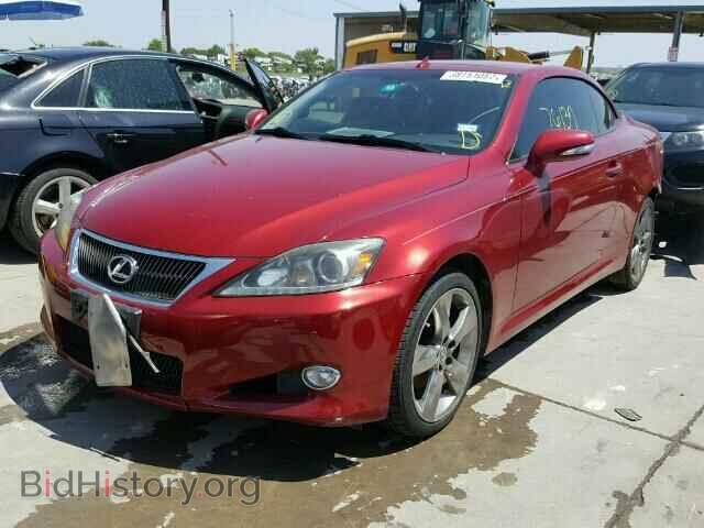 2011 LEXUS IS 250 - VIN: JTHFF2C22B2517453 - Фото 2